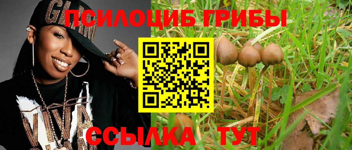 наркота  Вход с VPN  Псилоцибиновые грибы Magic Shrooms  Лениногорск  Галлюциногенные грибы мухоморы 