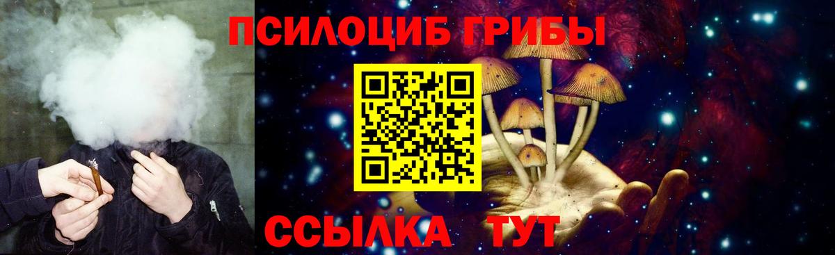 Галлюциногенные грибы мухоморы Лениногорск