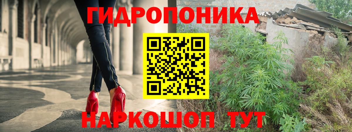Каннабис планчик Лениногорск